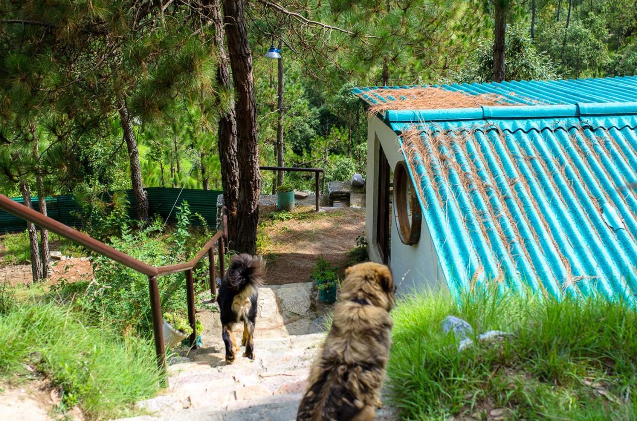Happy Dervish Homestay Муктешвар Экстерьер фото